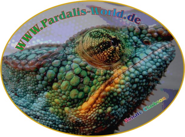 Pardalis-world logo2